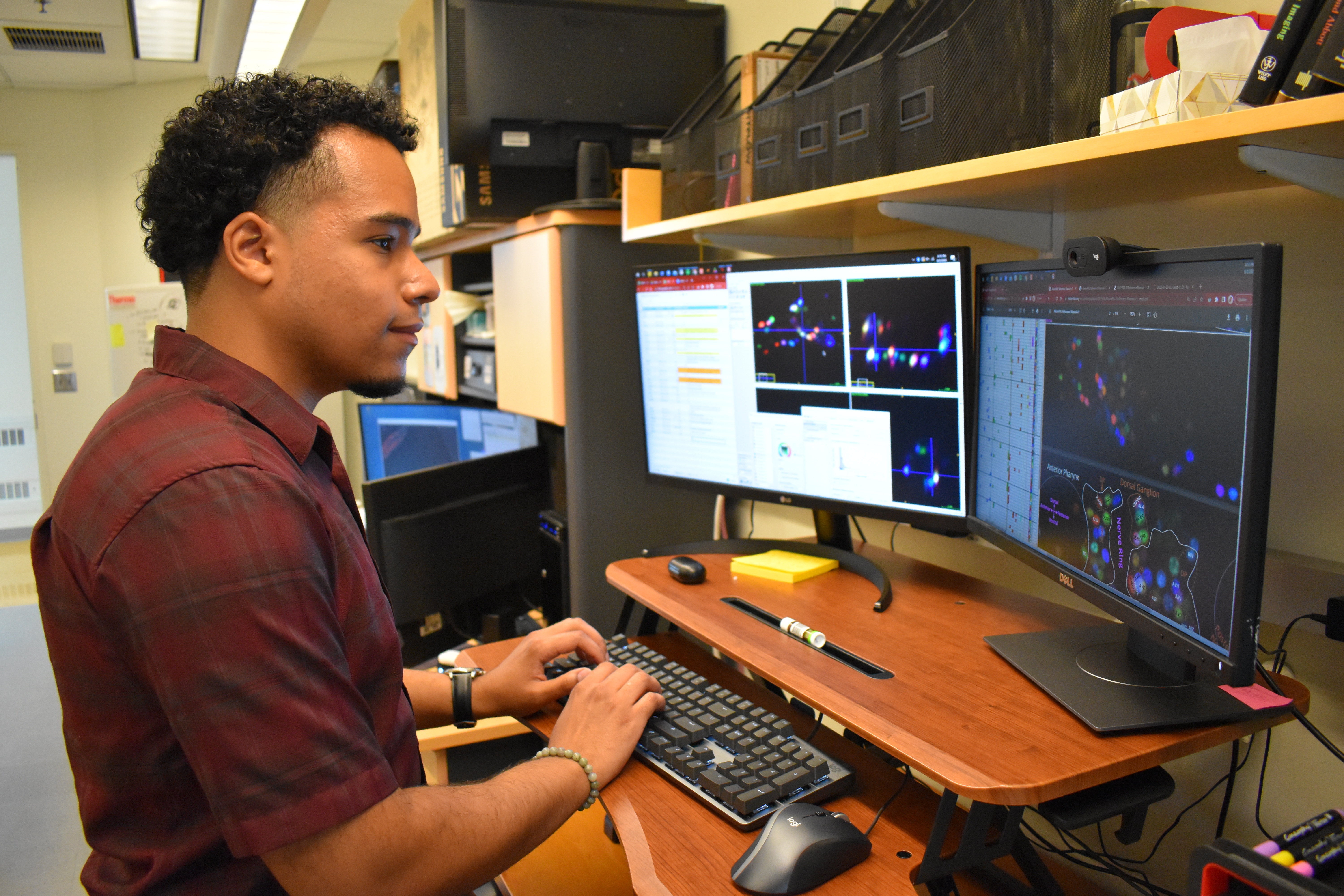 A young man stands at a computer desk with his hands on the keyboard. Two monitors display images with brightly colored spots, which are fluorescently labeled cells