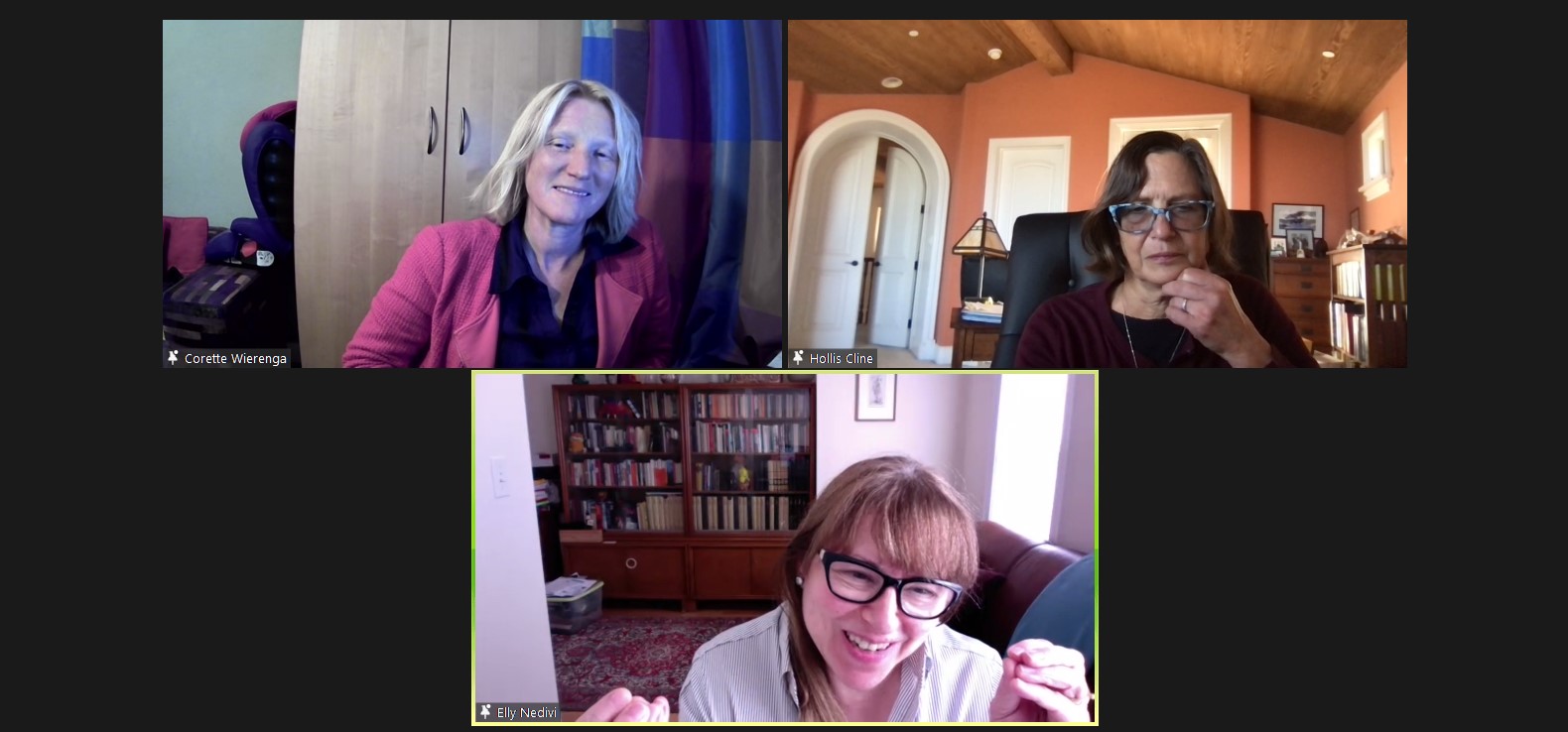 A screen from the symposium shows three colleagues talking from their homes. Upper left Corette Wierenga, upper right Hollis Cline, and bottom middle Elly Nedivi