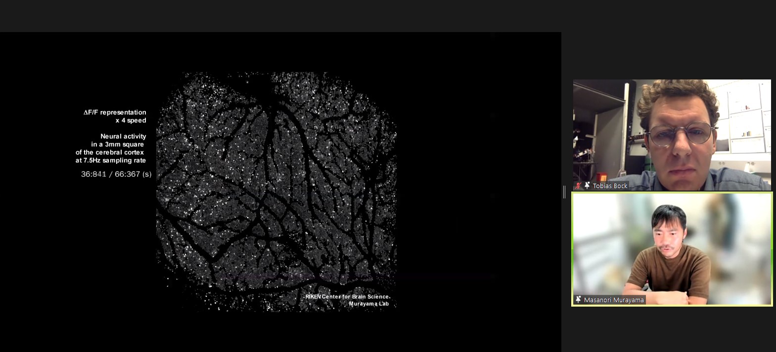 A presentation slide shows the presenter and a co-panelists on the right, a microscope image of a large part of the cortex with many neurons lit up in white and text describing technical specifications of the image