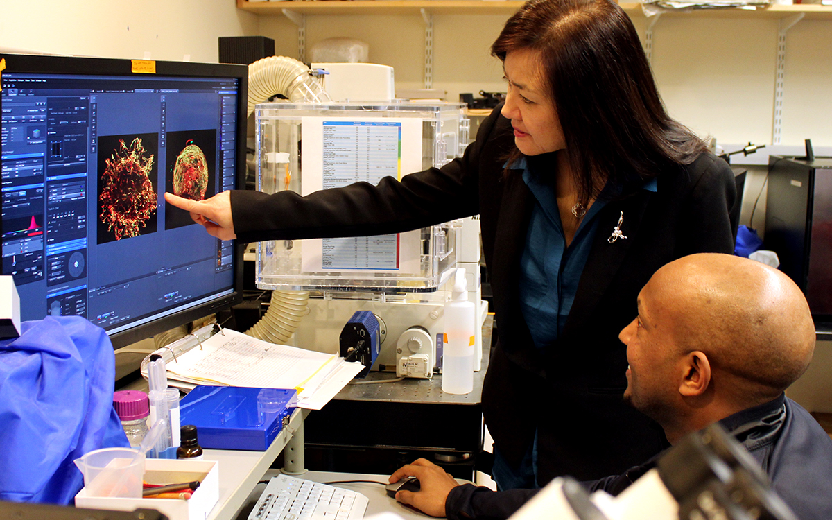 Li-Huei Tsai stands in a lab and points to an image of a cell on a computer screen. Hiruy Meharena sits at the desk with his hand on the mouse and looks on.