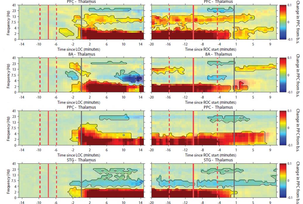 An array of eight horizontal heat map visualizations shows thick red stripes along the bottom of each. They otherwise bear no consistent similarity.