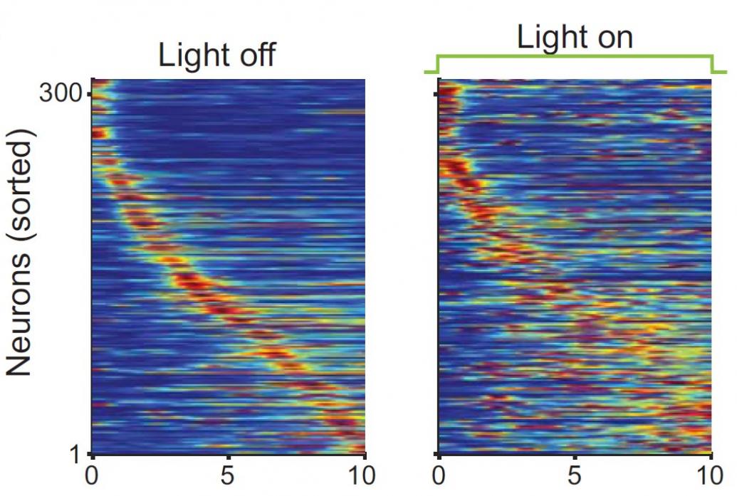 Two panels show a stripe of warm colors running top left to bottom right through a blue background. The left one, labeled light off, is very tight and organized. The right one, labeled light on, is very diffuse and messy.