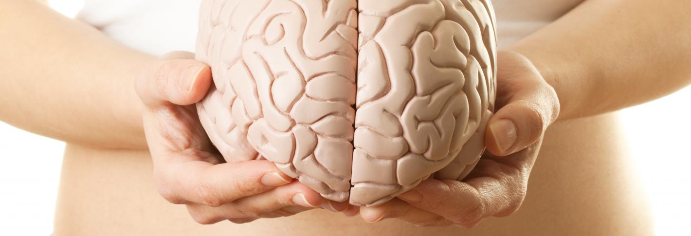 A woman holds a model brain in front of her torso