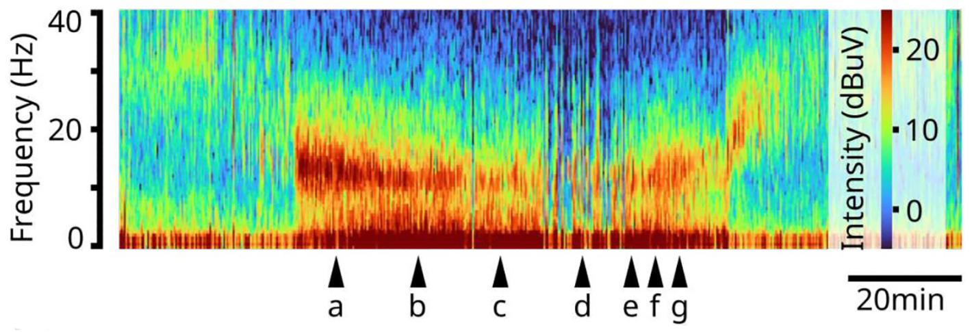 A long horizontal spectrogram shows stripes of blue color across the top, an interrupted stripe of red across the middle height, and a nearly uninterrupted stripe of deep red color along the bottom. Underneat the spectrogram letters a-g indicate distinct stages of consciousness.