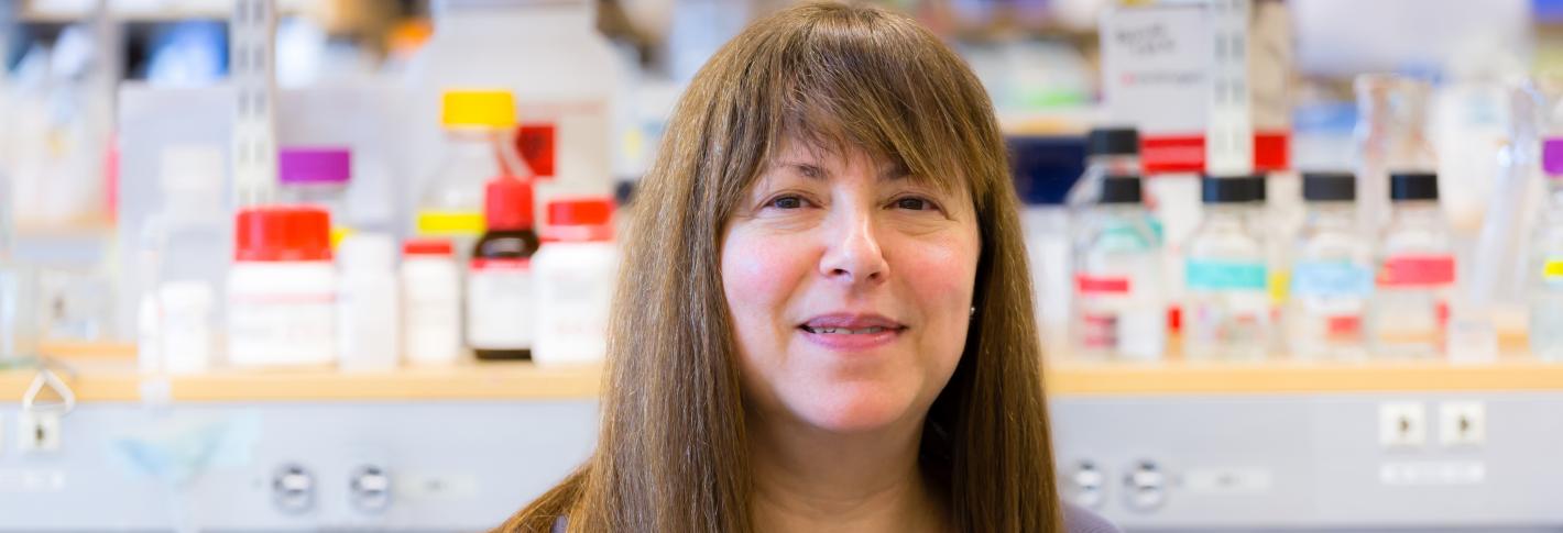 Elly Nedivi looks at the camera before a backgrond of flasks and bottles on shelves in her lab