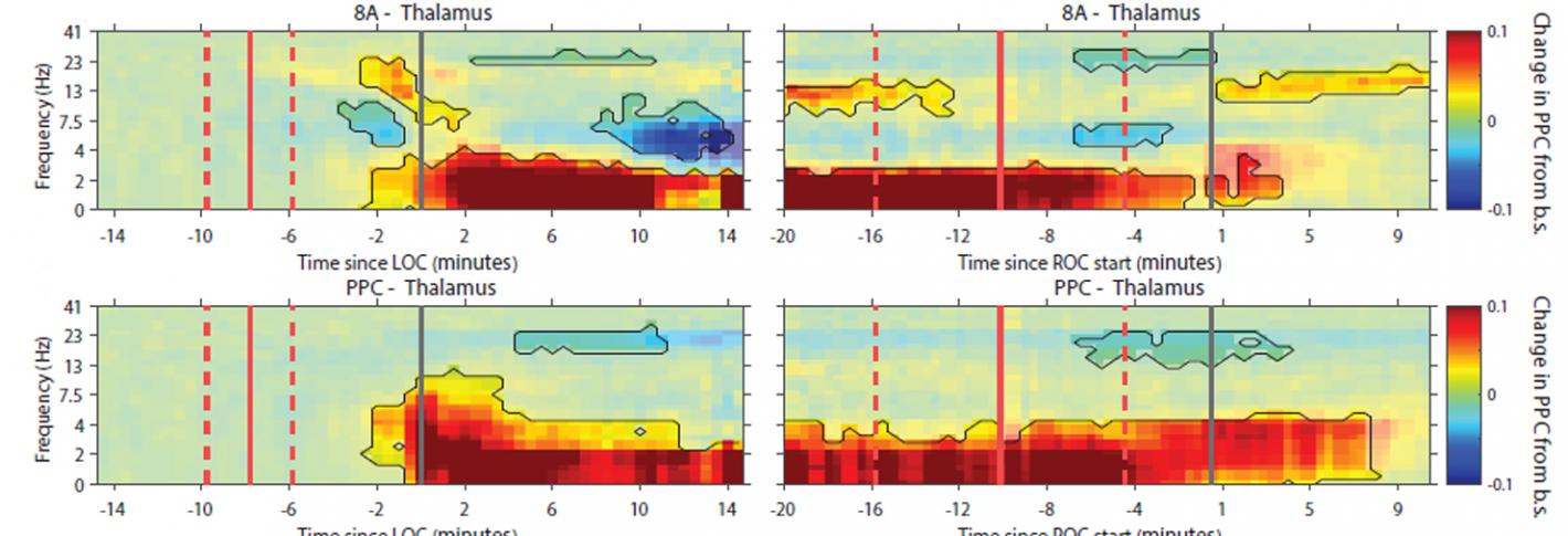 An array of eight horizontal heat map visualizations shows thick red stripes along the bottom of each. They otherwise bear no consistent similarity.