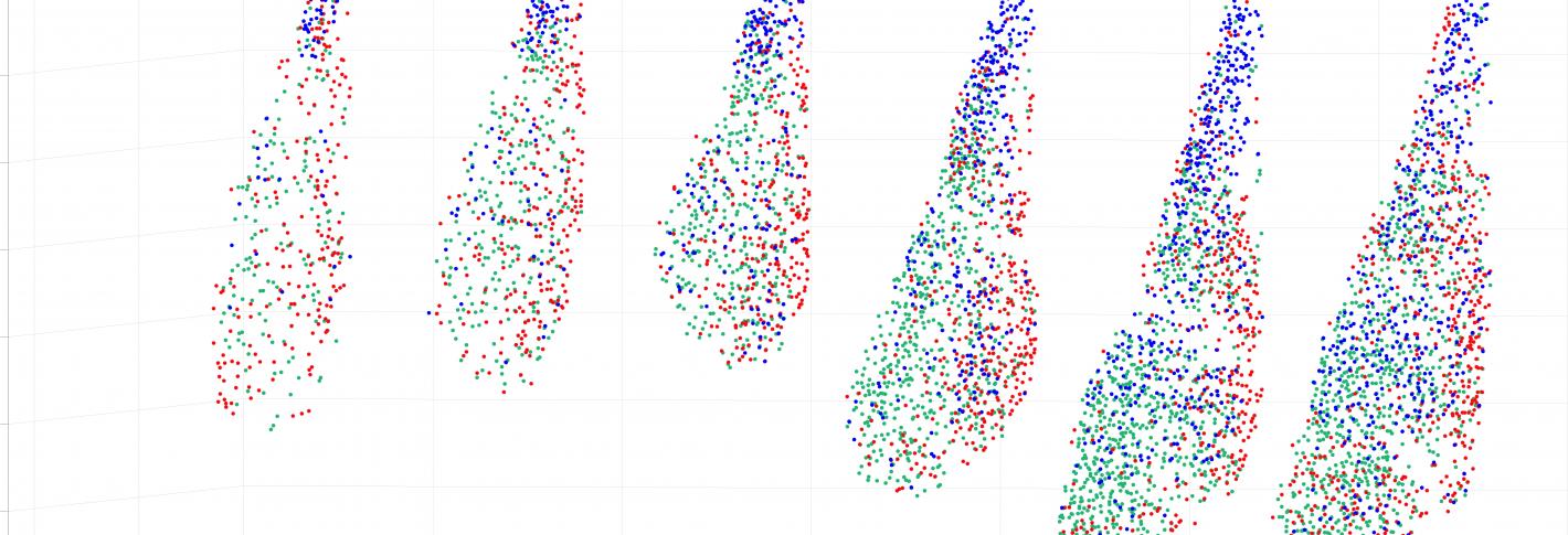 Various 3D views of the amygdala, showing the grouping of neurons that make different projections to other regions to assign valence