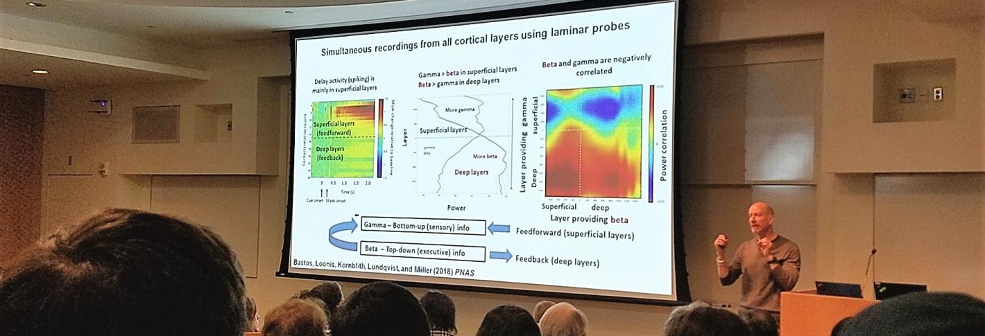 Earl Miller presents a slide about working memory