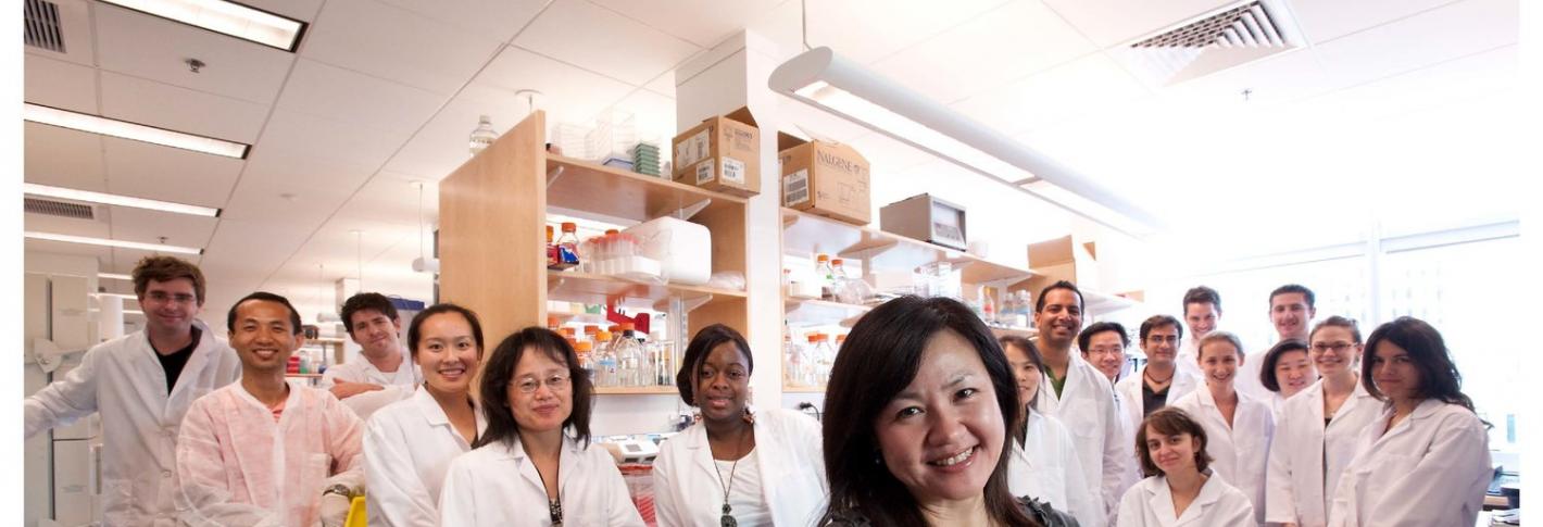 Picower Director Li-Huei Tsai with her Laboratory