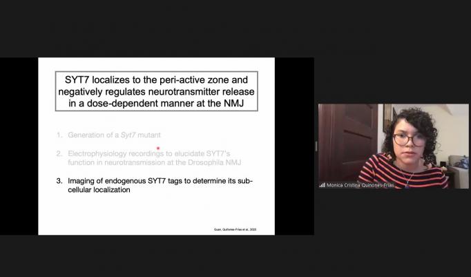 A split screen with a slide on the left describing experimental steps and a picture of the speaker on the right