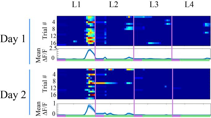 In 2 row, 4 column grid of blue squares those under L1 show spots of warmer colors