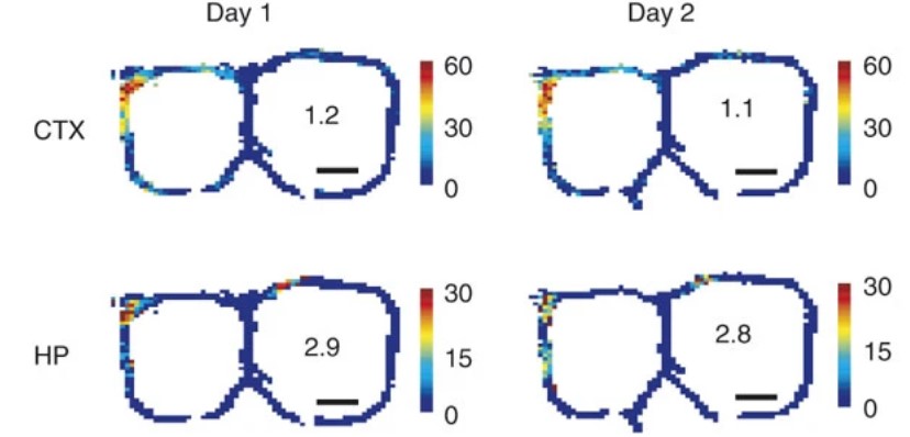 Four panels show figure eight shapes in mostly blue but areas of warmer colors on a white background. 